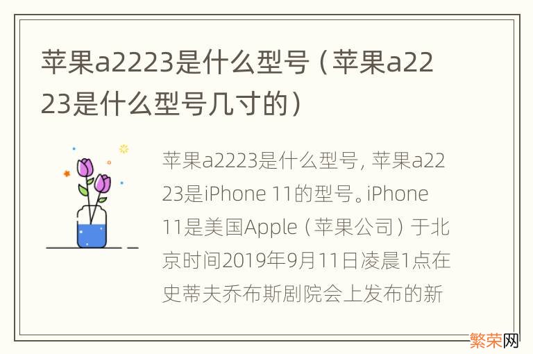 苹果a2223是什么型号几寸的 苹果a2223是什么型号