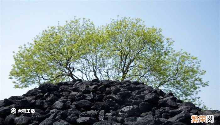 动力煤和焦煤的区别