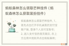 蚂蚁森林怎么获取装扮挂件 蚂蚁森林怎么领取芒种挂件