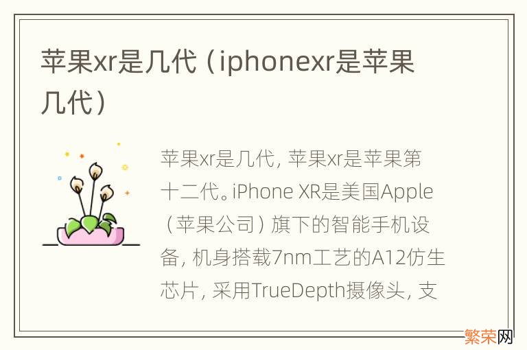 iphonexr是苹果几代 苹果xr是几代