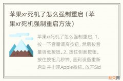 苹果xr死机强制重启方法 苹果xr死机了怎么强制重启