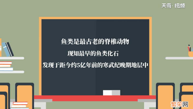 鱼的记忆力真的只有七秒吗 鱼的记忆力只有七秒吗