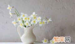 瓶插花保鲜方法 如何延长插花保鲜期？