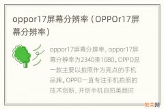 OPPOr17屏幕分辨率 oppor17屏幕分辨率