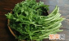 大暑天怎么种青菜 大暑天如何种青菜