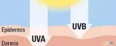 uva uvb是什么意思 uvb是啥意思
