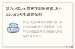 华为p30pro快充在哪里设置 华为p30pro充电设置在哪