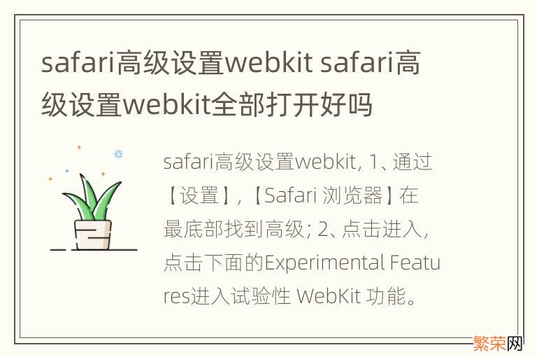 safari高级设置webkit safari高级设置webkit全部打开好吗