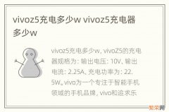 vivoz5充电多少w vivoz5充电器多少w