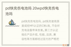 pd快充伤电池吗 20wpd快充伤电池吗