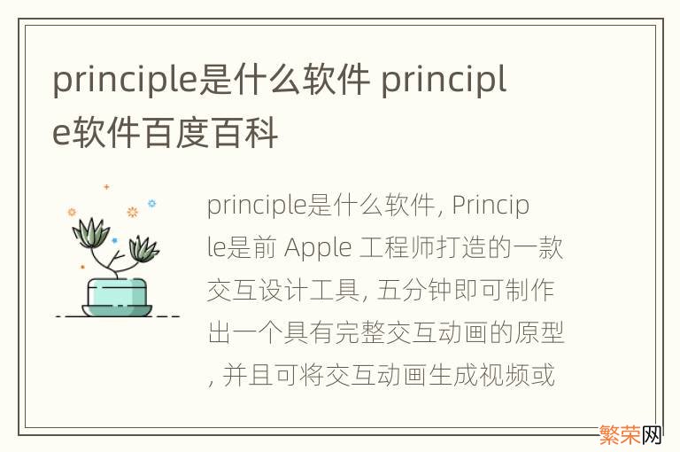 principle是什么软件 principle软件百度百科