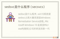 secsvcs sedsvc是什么程序