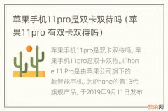 苹果11pro 有双卡双待吗 苹果手机11pro是双卡双待吗