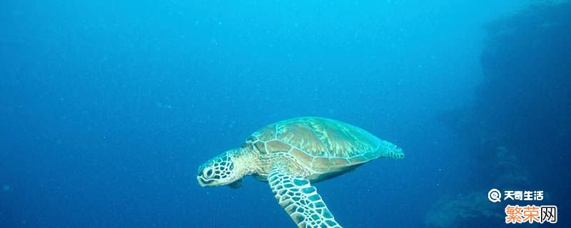 里海是海吗黑海是海吗 里海是海吗