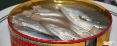 鲱鱼罐头到底有多臭用什么形容 鲱鱼罐头到底有多臭