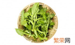 冰菜的禁忌 冰菜的作用是什么