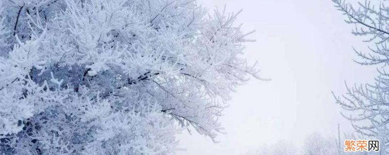 降雪级别按什么划分的 降雪分为几个等级