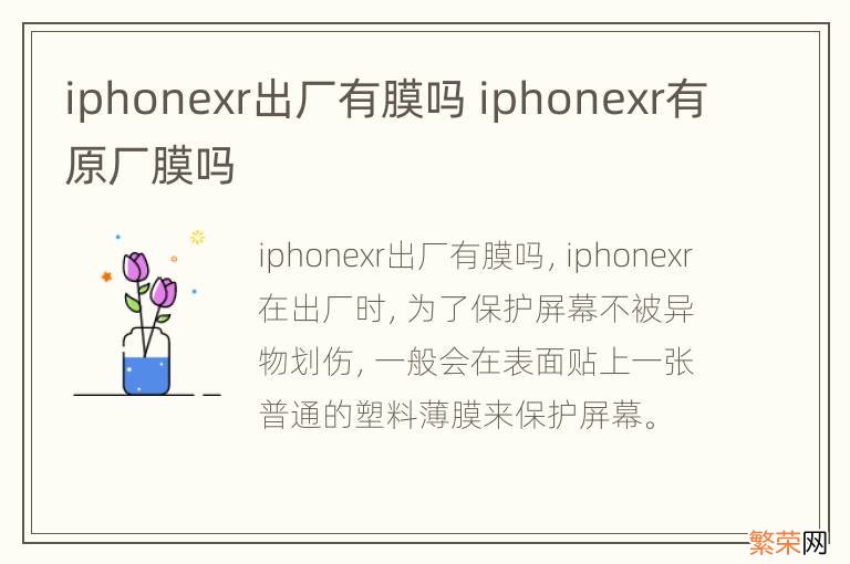 iphonexr出厂有膜吗 iphonexr有原厂膜吗