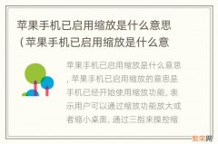 苹果手机已启用缩放是什么意思呀 苹果手机已启用缩放是什么意思