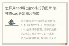 怎样用cad导出jpg格式的图片 怎样将cad导出图片格式