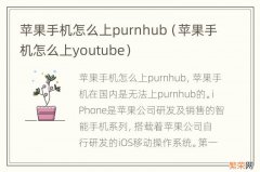 苹果手机怎么上youtube 苹果手机怎么上purnhub