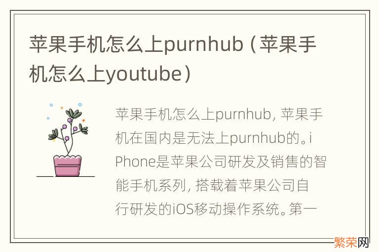 苹果手机怎么上youtube 苹果手机怎么上purnhub