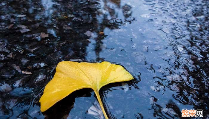 形容下雨天雨的声音句子 描写雨声音的优美句子