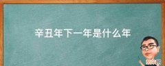 辛丑年的下一年是 辛丑年下一年是什么年