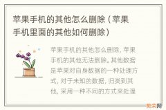 苹果手机里面的其他如何删除 苹果手机的其他怎么删除