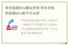 华为加密dns建议开吗 华为手机的加密dns是干什么的