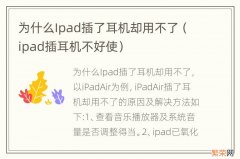 ipad插耳机不好使 为什么Ipad插了耳机却用不了