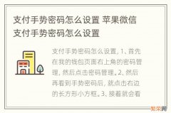 支付手势密码怎么设置 苹果微信支付手势密码怎么设置