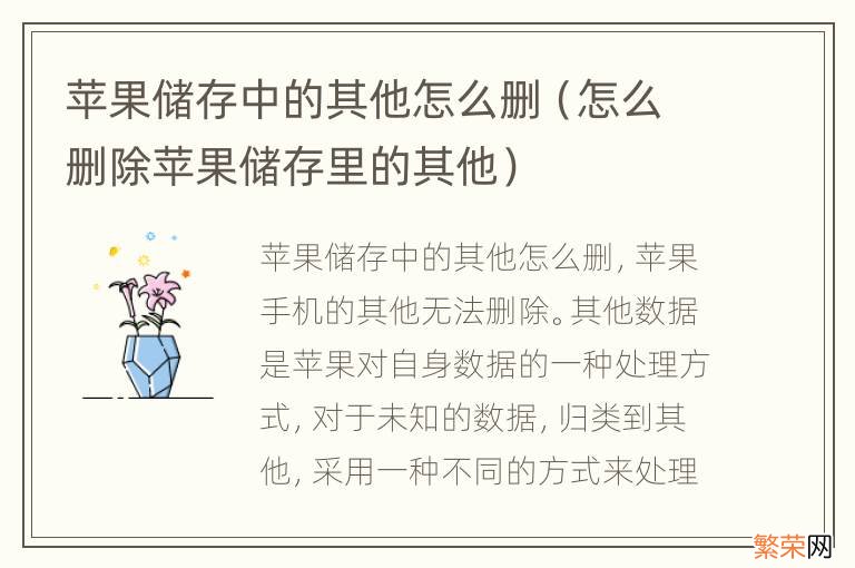 怎么删除苹果储存里的其他 苹果储存中的其他怎么删