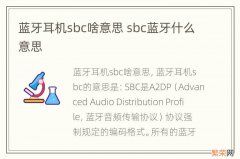 蓝牙耳机sbc啥意思 sbc蓝牙什么意思