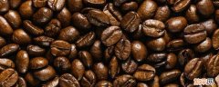 咖啡豆是不是豆浆 咖啡豆是不是豆
