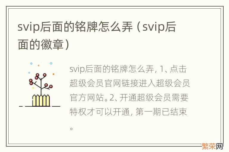 svip后面的徽章 svip后面的铭牌怎么弄