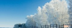 怎么形容下雪天的美景 下雪天的美景的赞美