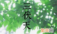 初伏怎么定 初伏如何确定的