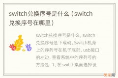 switch兑换序号在哪里 switch兑换序号是什么