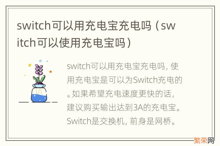 switch可以使用充电宝吗 switch可以用充电宝充电吗