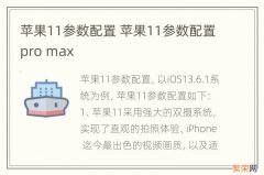 苹果11参数配置 苹果11参数配置pro max