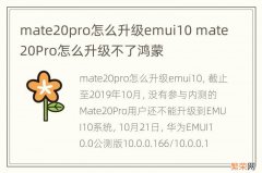 mate20pro怎么升级emui10 mate20Pro怎么升级不了鸿蒙