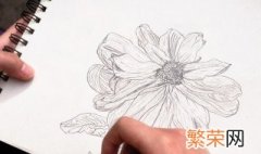 素描的五个技巧分别是 素描的五个技巧