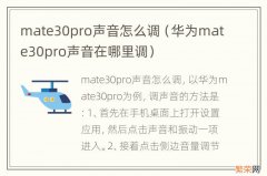 华为mate30pro声音在哪里调 mate30pro声音怎么调