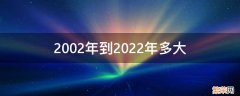 2002年到2022年是多少年 2002年到2022年多大