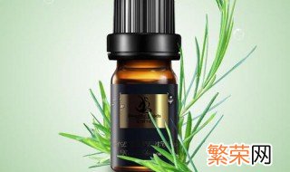 茶树香薰精油的功效 茶树精油香薰如何做