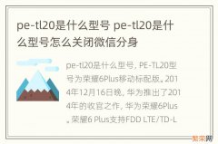 pe-tl20是什么型号 pe-tl20是什么型号怎么关闭微信分身