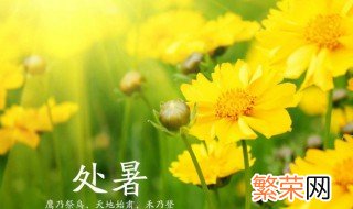 2021年处暑是哪天 处暑节气介绍