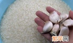 米袋生虫怎么处理 怎样去除大米里的虫子