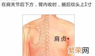 肩贞穴的位置和作用 肩贞穴的位置和作用分别是什么